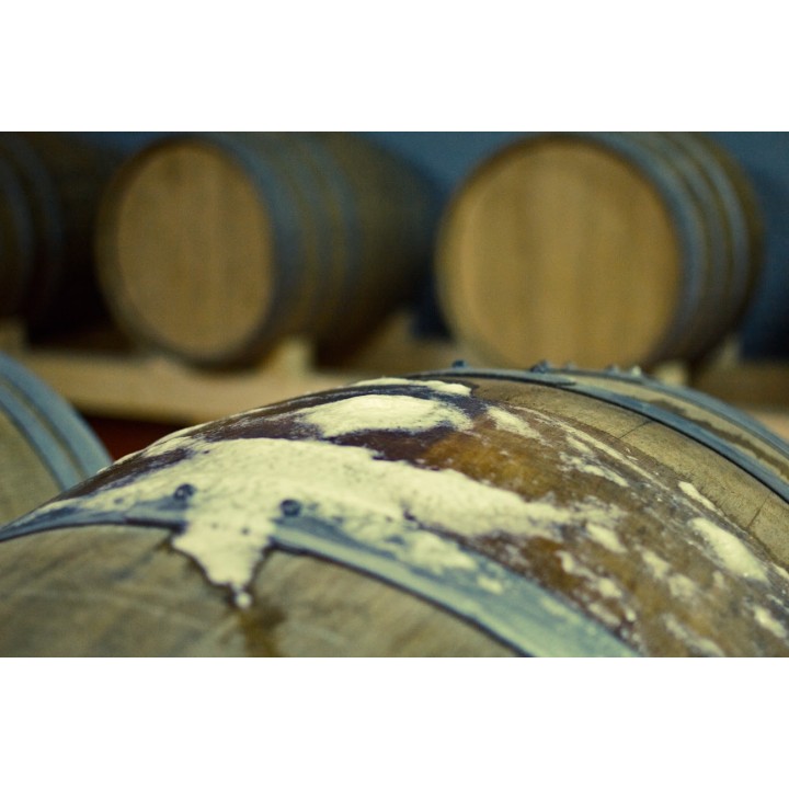 Brewery visit - Saturday 4 pm