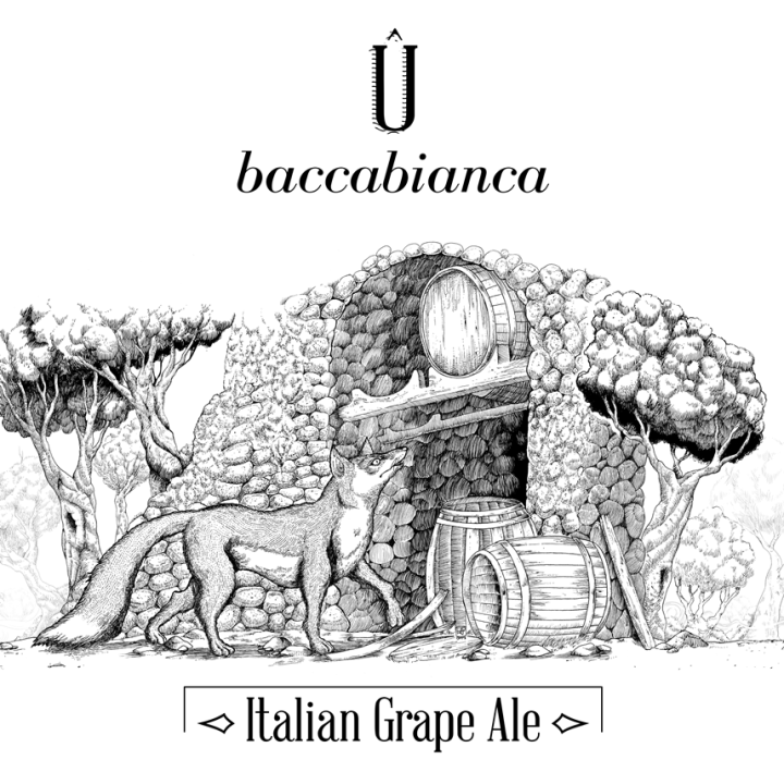 Û Baccabianca (Italian Grape Ale) – Bottiglia 0,375 L – 7,9% Vol