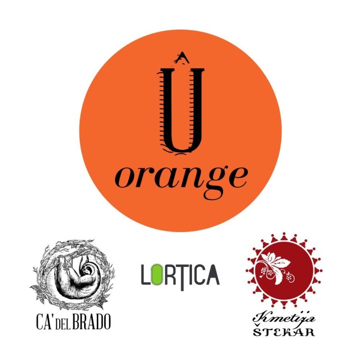Û Orange (Italian Grape Ale) – Bottiglia 0,375 L – 7,1% Vol