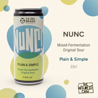 Nunc – Mixed Ferm Original Sour – Lattina 0,33 L – 4,5% Vol