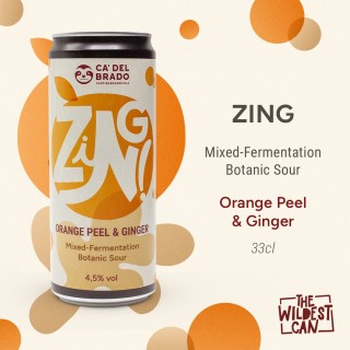 Zing – Mixed Ferm Botanic Sour with Ginger and Orange peel – Can 0,33 L – 4,5% Vol