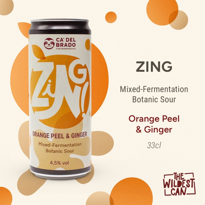 Zing – Mixed Ferm Botanic Sour with Ginger and Orange peel – Can 0,33 L – 4,5% Vol