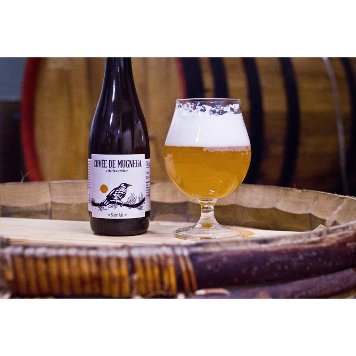 Cuvée de Mugnega (Apricot Sour Ale) – Bottle 0,375 L – 7,8% Vol