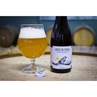 Cuvée de Pesga (Peach Sour Ale) – Bottle 0,375 L – 7,8% Vol