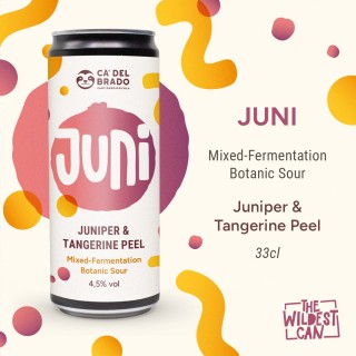 Juni - Sour Ale with Juniper & Tangerine Peel - Can 0,33 L - 4,5% Vol