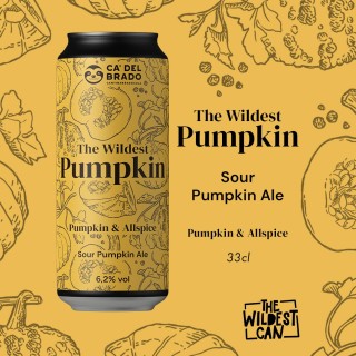 The Wildest Pumpkin - Sour Ale with Pumpkin & Allspice - Can 0,33 L – 4,5% Vol