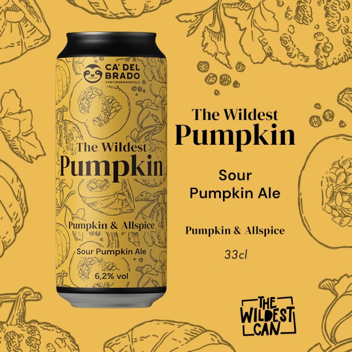 The Wildest Pumpkin - Sour Ale with Pumpkin & Allspice - Can 0,33 L – 4,5% Vol
