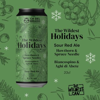 The Wildest Holidays Hawthorn & Spruce needle - Sour Ale - Can 0,33 L – 6,2% Vol