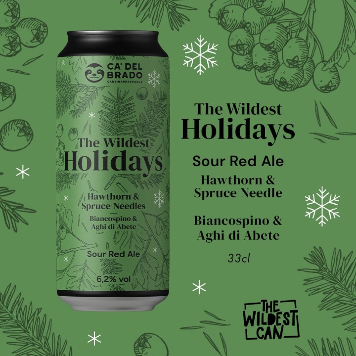 The Wildest Holidays Hawthorn & Spruce needle - Sour Ale - Can 0,33 L – 6,2% Vol