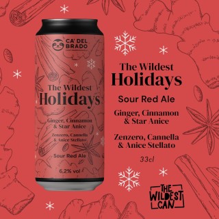 The Wildest Holidays Ginger Cinnamon & Star Anice - Sour Ale - Can 0,33 L – 6,2% Vol
