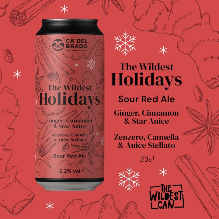 The Wildest Holidays Ginger Cinnamon & Star Anice - Sour Ale - Can 0,33 L – 6,2% Vol