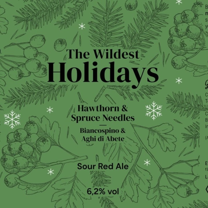 The Wildest Holidays Hawthorn & Spruce needle - Sour Ale - Can 0,33 L – 6,2% Vol