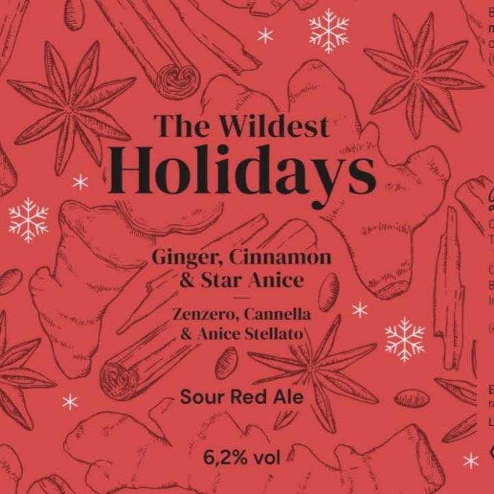 The Wildest Holidays Zenzero Cannella & Anice stellato - Sour Ale - Lattina 0,33 L – 6,2% Vol