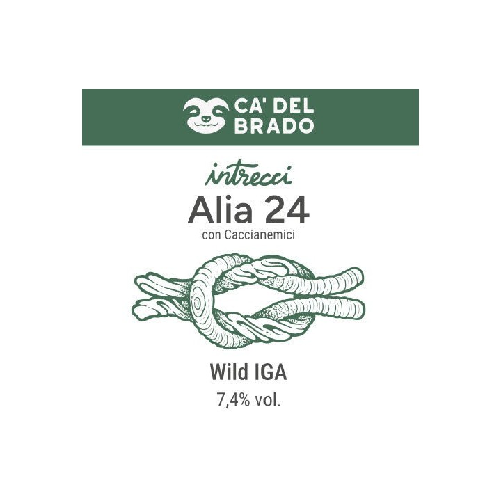 Intrecci Alia 24 Sour Italian Grape Ale – Bottiglia 0,375 L – 7,4% Vol