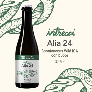 Intrecci Alia 24 Sour Italian Grape Ale – Bottle 0,375 L – 7,4% Vol