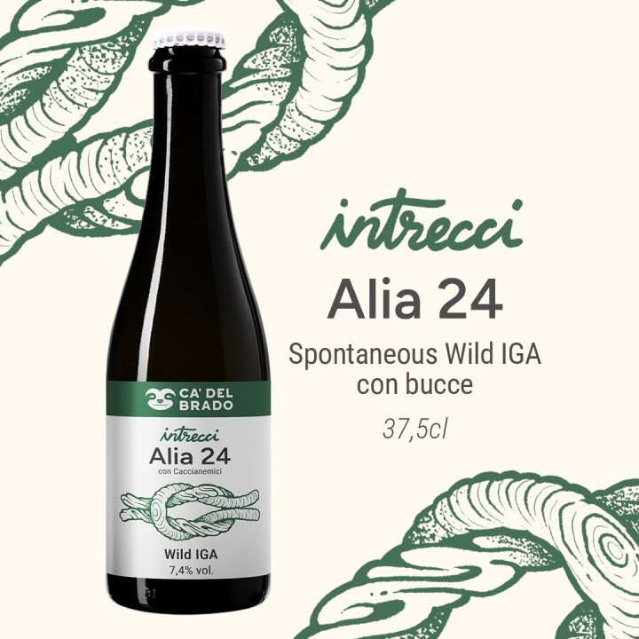 Intrecci Alia 24 Sour Italian Grape Ale – Bottle 0,375 L – 7,4% Vol
