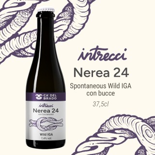 Intrecci Nerea 24 Sour Italian Grape Ale – Bottle 0,375 L – 7,4% Vol