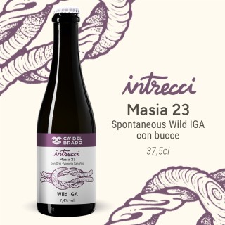 Intrecci Masia 23 (Sour Italian Grape Ale) – Bottle 0,375 L – 7,4% Vol