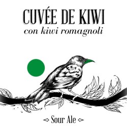 Cuvée de Kiwi (Kiwi Sour Ale) – Bottiglia 0,375 L – 7,8% Vol