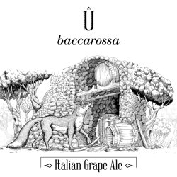 Û Baccarossa (Italian Grape Ale) – Bottle 0,375 L – 7,9% Vol