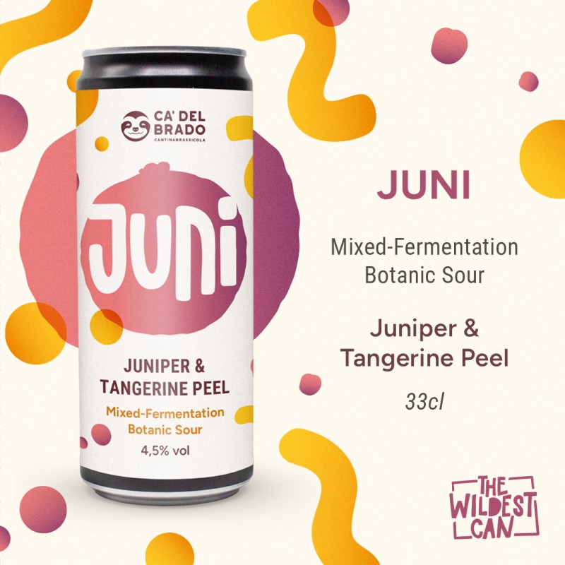 Juni - Sour Ale with Juniper & Tangerine Peel - Lattina 0,33 L - 4,5% Vol
