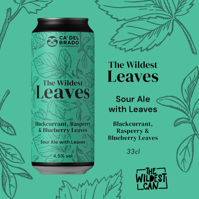 The Wildest Leaves - Sour Ale with Leaves - Can 0,33 L – 4,5% Vol