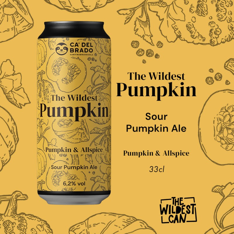 The Wildest Pumpkin - Sour Ale with Pumpkin & Allspice - Can 0,33 L – 4,5% Vol