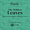 The Wildest Leaves - Sour Ale with Leaves - Lattina 0,33 L – 4,5% Vol