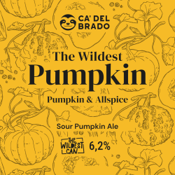 The Wildest Pumpkin - Sour Ale with Pumpkin & Allspice - Can 0,33 L – 4,5% Vol