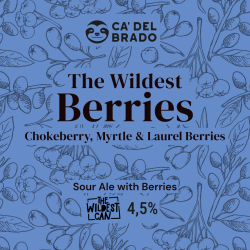 The Wildest Berries - Sour Ale with Berries - Lattina 0,33 L – 4,5% Vol