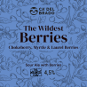 The Wildest Berries - Sour Ale with Berries - Lattina 0,33 L – 4,5% Vol
