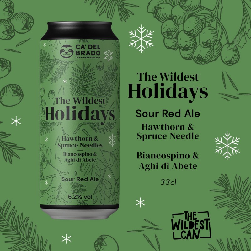 The Wildest Holidays Hawthorn & Spruce needle - Sour Ale - Can 0,33 L – 6,2% Vol