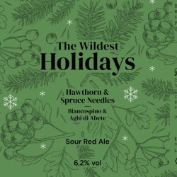 The Wildest Holidays Hawthorn & Spruce needle - Sour Ale - Can 0,33 L – 6,2% Vol
