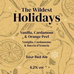 The Wildest Holidays Vanilla Cardamom & Orange Peel - Sour Ale - Can 0,33 L – 6,2% Vol