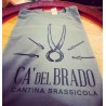 T-Shirt Grigia "Carteria"