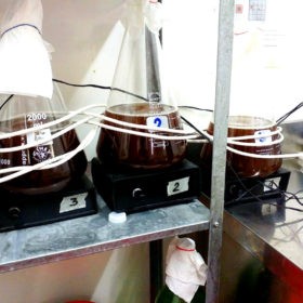 Tecniche di propagazione. Demiurghi da laboratorio