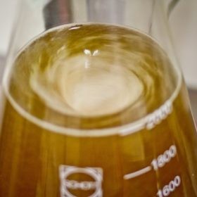 Ritorno al futuro. Le Brett Ales